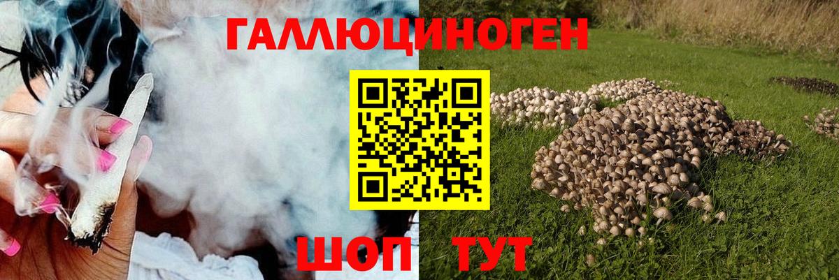 Псилоцибиновые грибы мухоморы  Вход с VPN  Уварово  Псилоцибиновые грибы мухоморы 